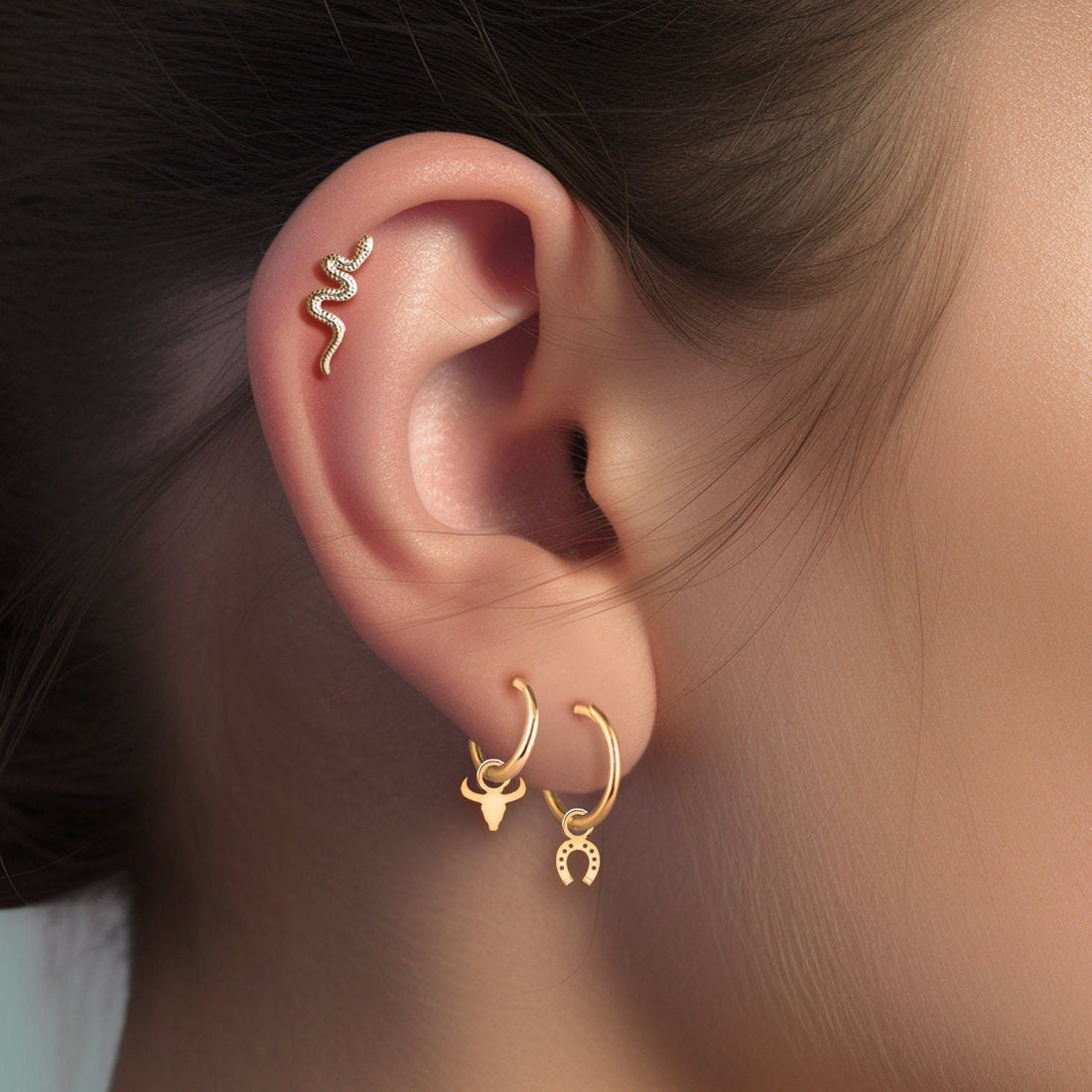 Horseshoe Drop Hoop Earrings