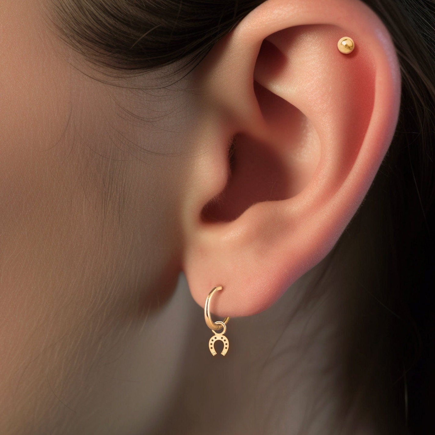 Horseshoe Drop Hoop Earrings