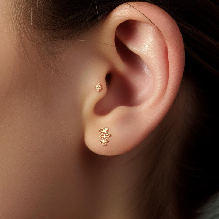 Caduceus Earrings