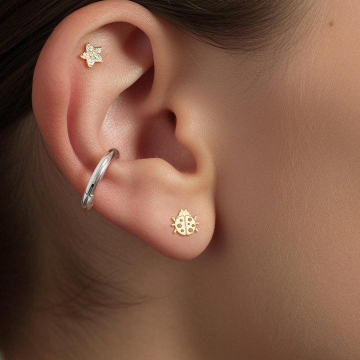 Cute Ladybug Earrings
