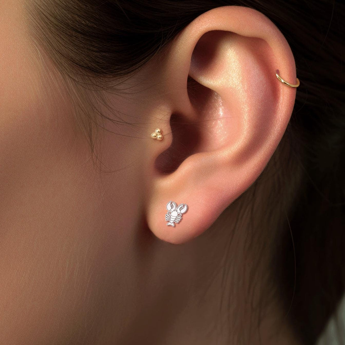 Lobster Stud Earrings