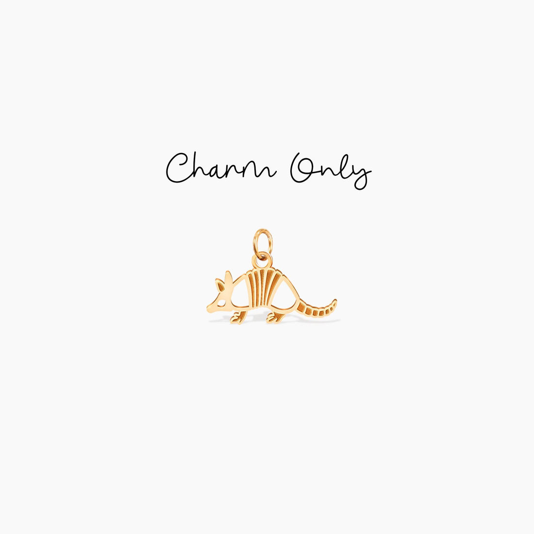 Armadillo Charm Earrings