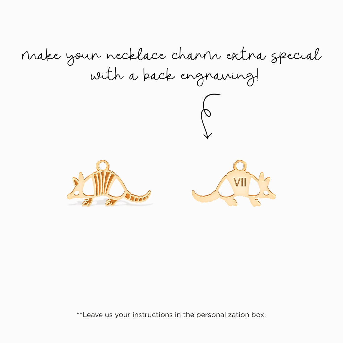 Armadillo Charm Earrings