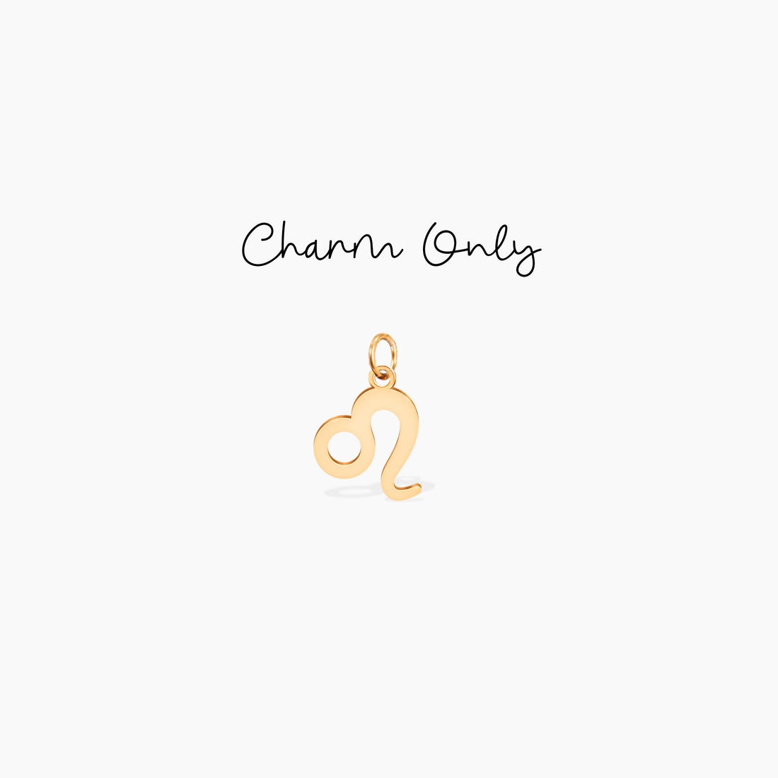 Leo Disc Charm Necklace