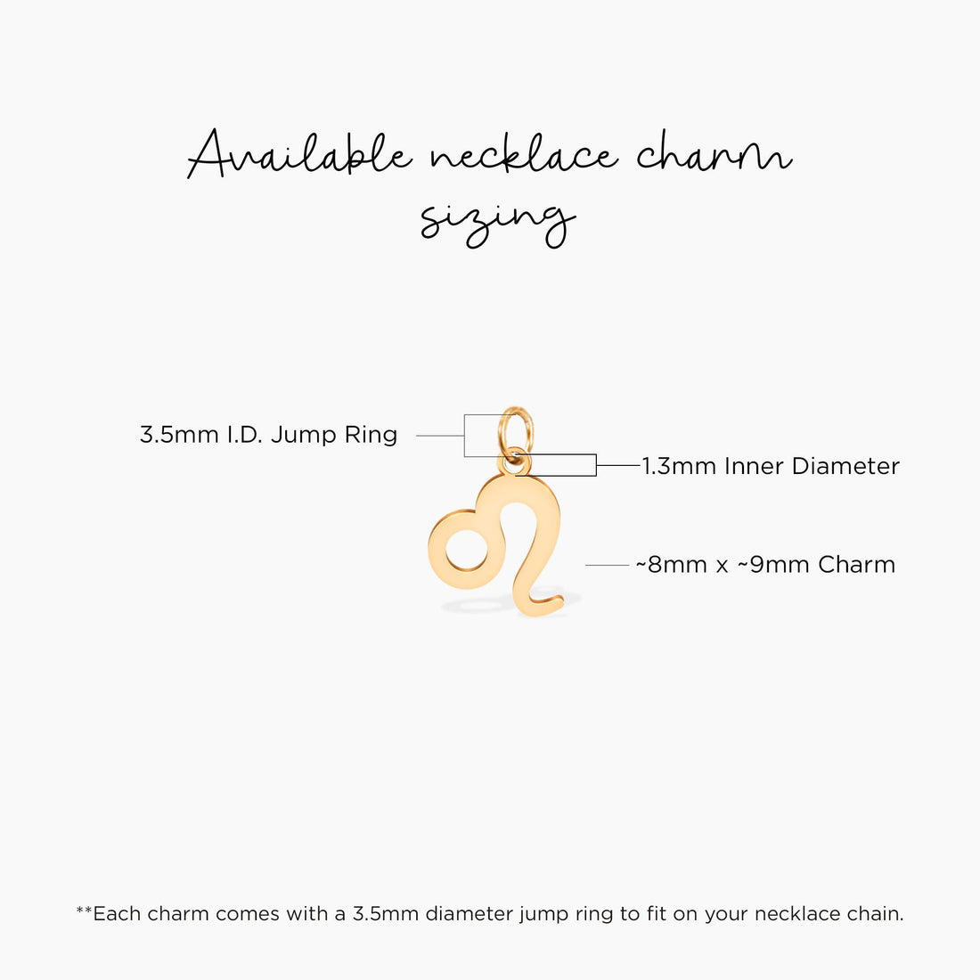 Leo Disc Charm Necklace