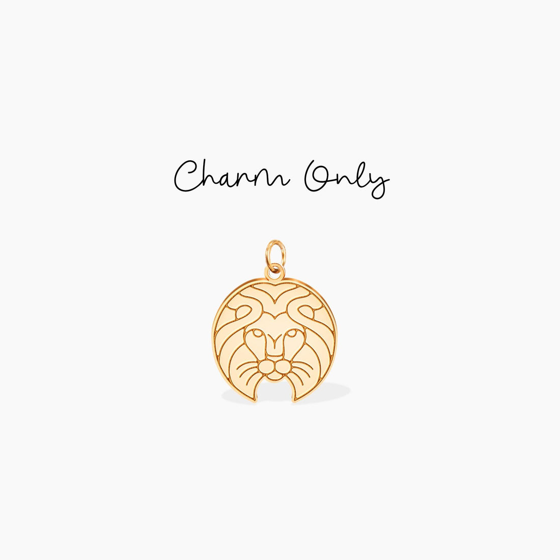 Leo Disc Charm Necklace