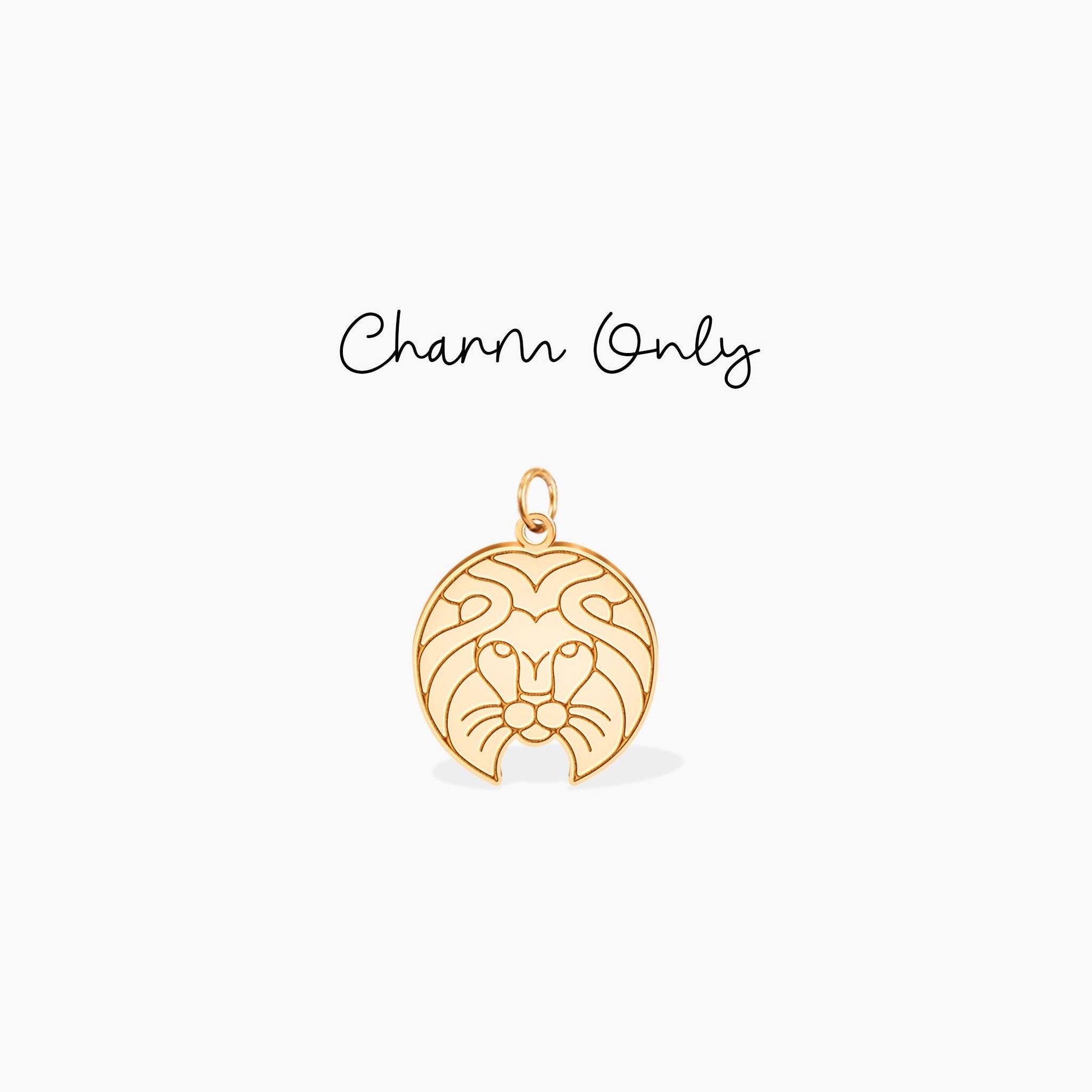 Leo Disc Charm Necklace
