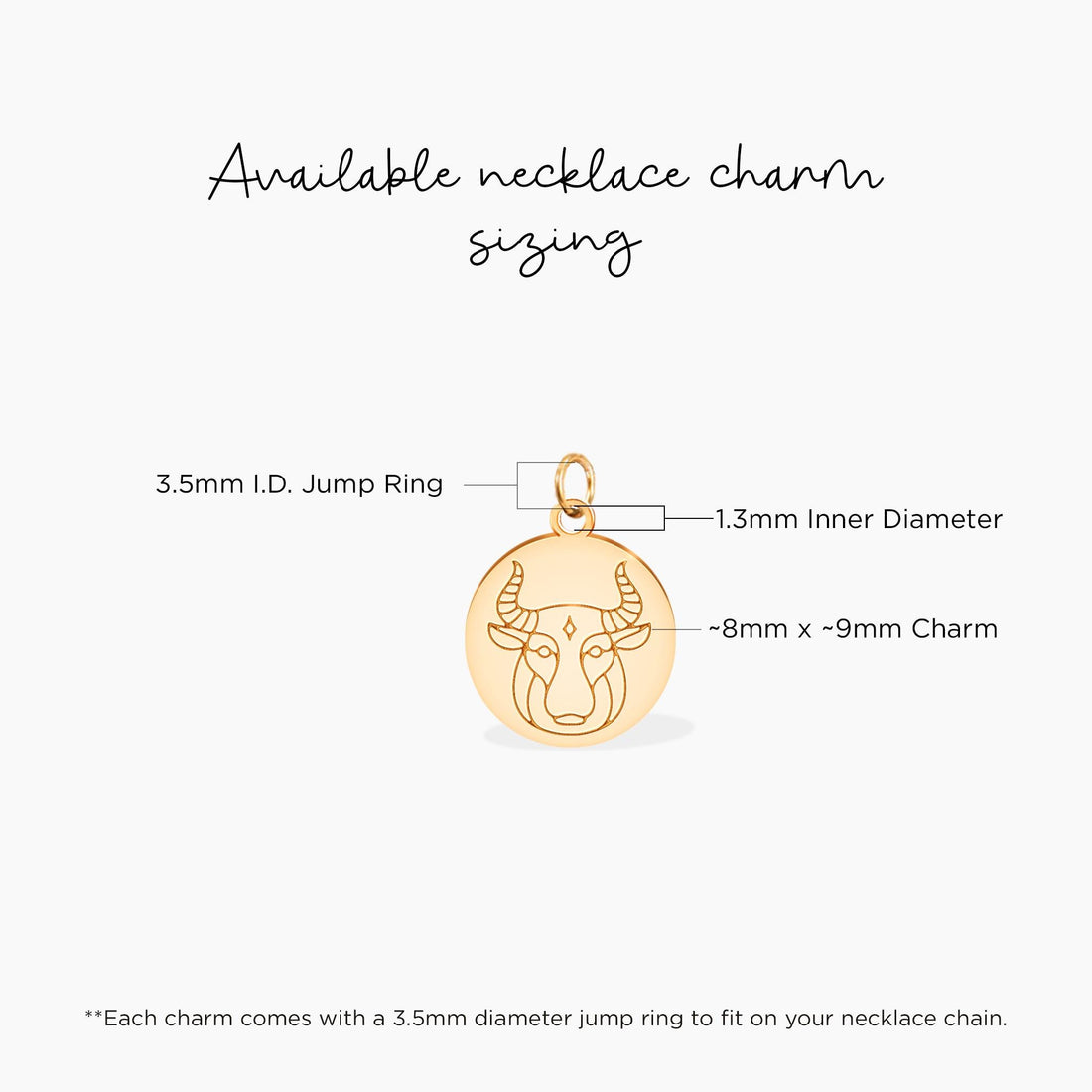 Taurus Disc Charm Necklace