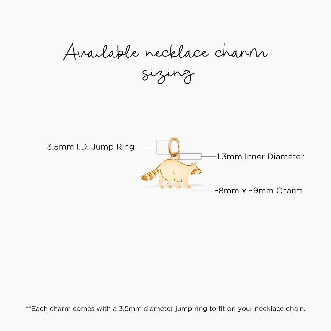 Raccoon Walking Charm