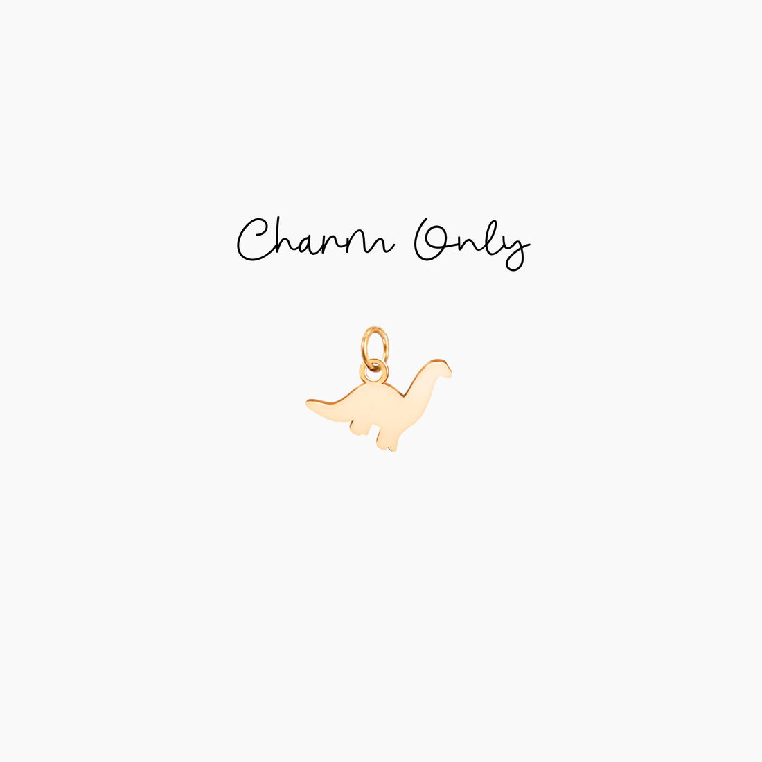 Dinosaur Charm
