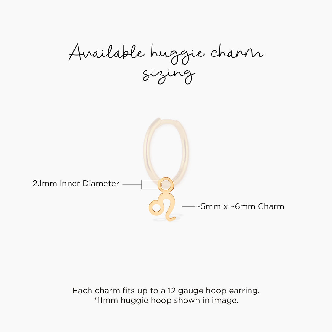 Leo Disc Charm Necklace