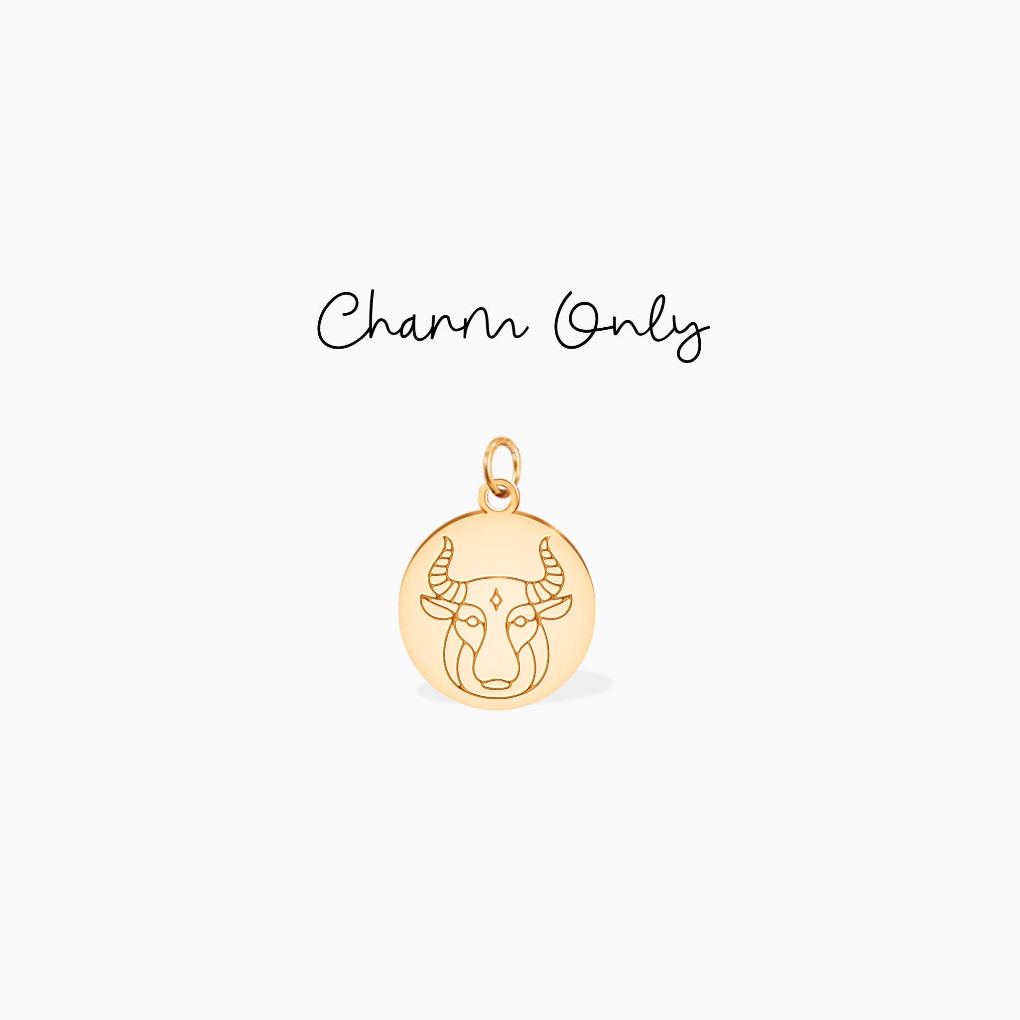 Taurus Disc Charm Necklace