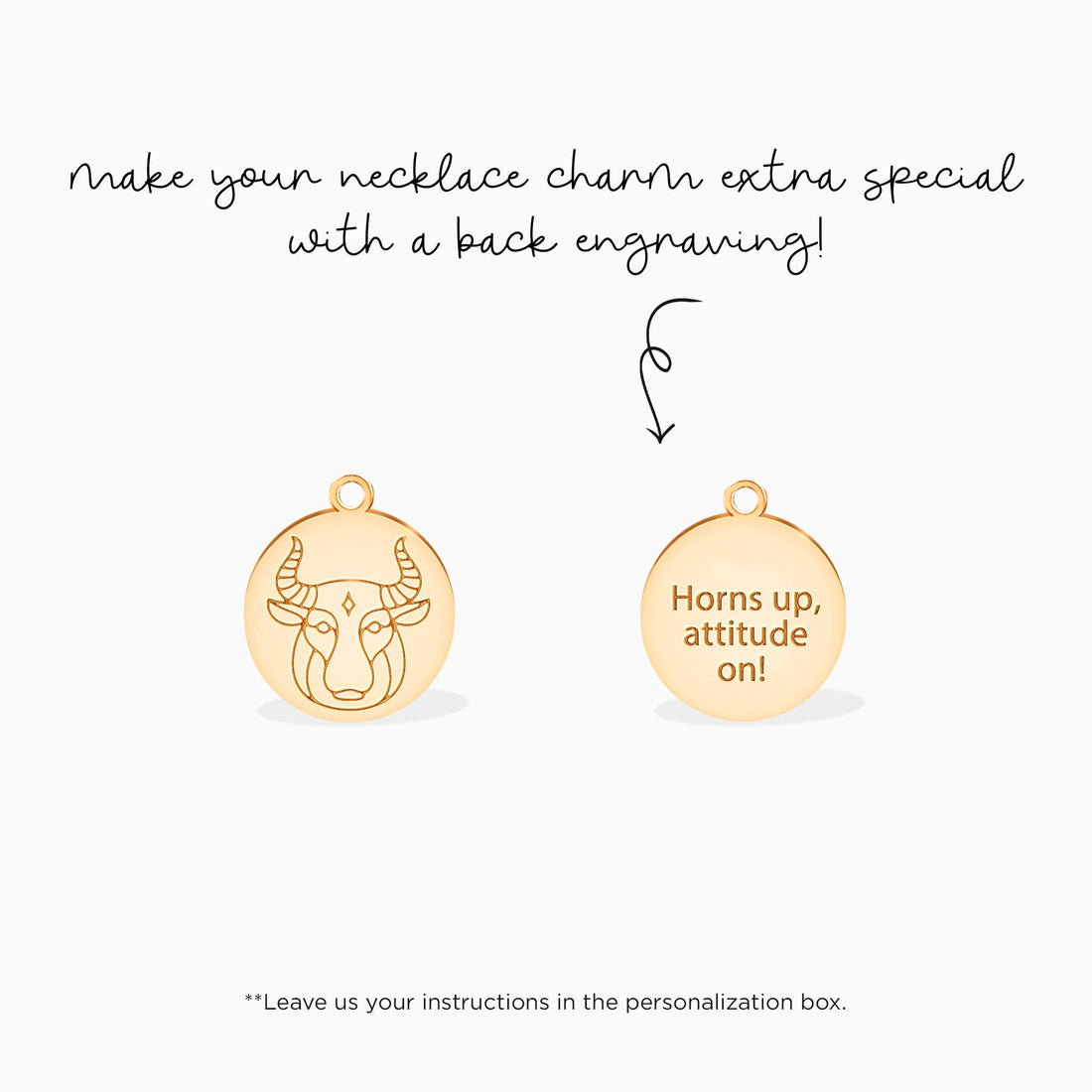 Taurus Disc Charm Necklace