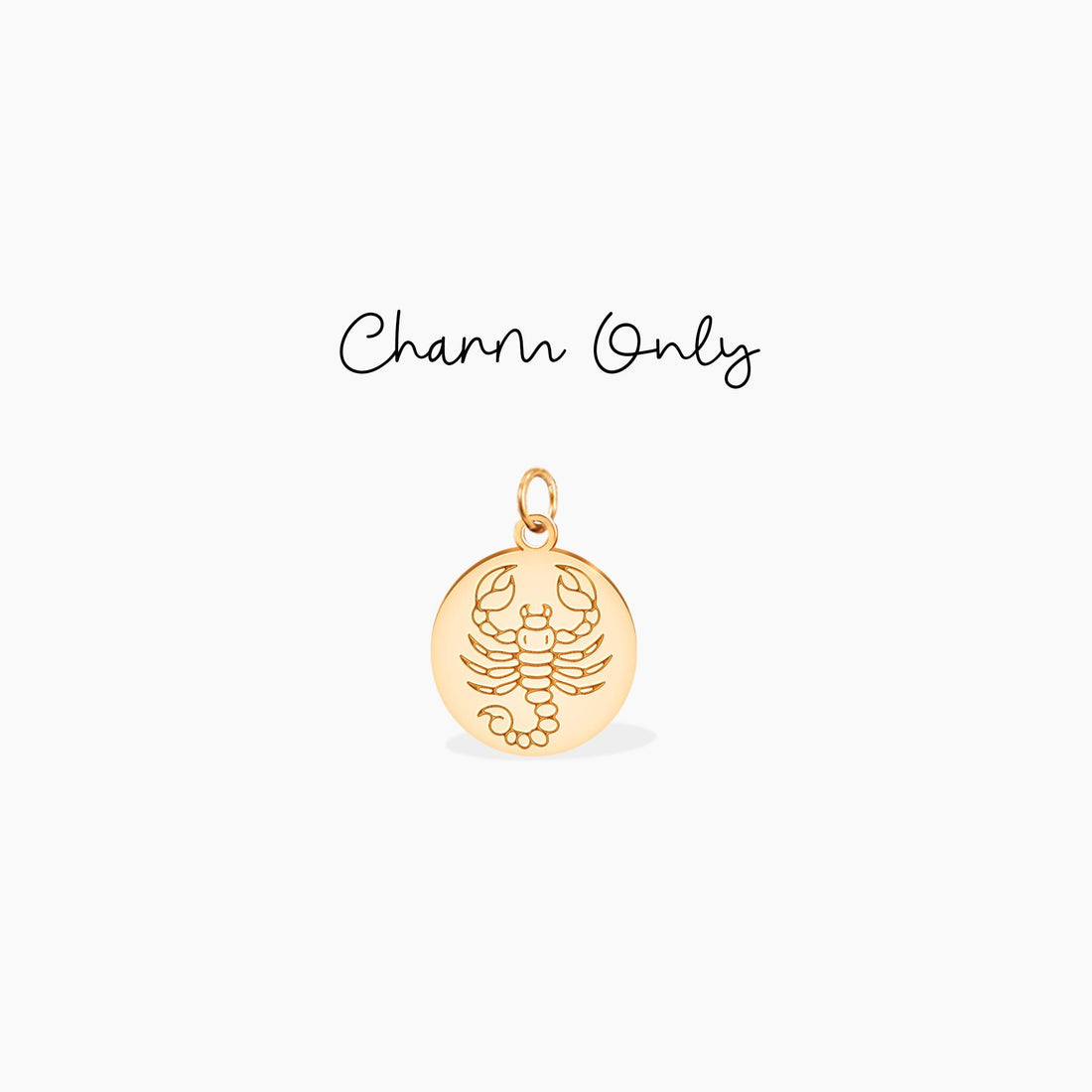 Scorpio Zodiac Disc Charm Necklace