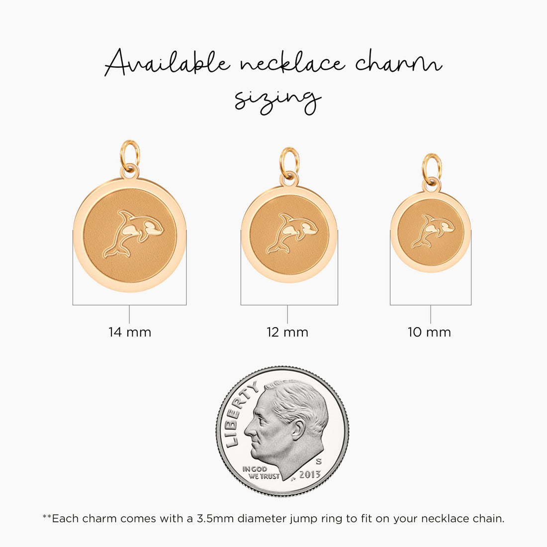 Dolphin Disc Charm