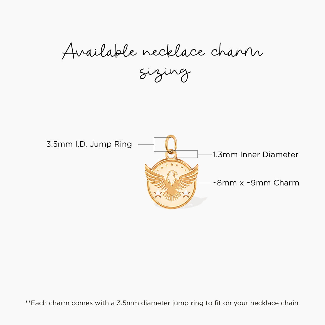 Eagle Medallion Charm