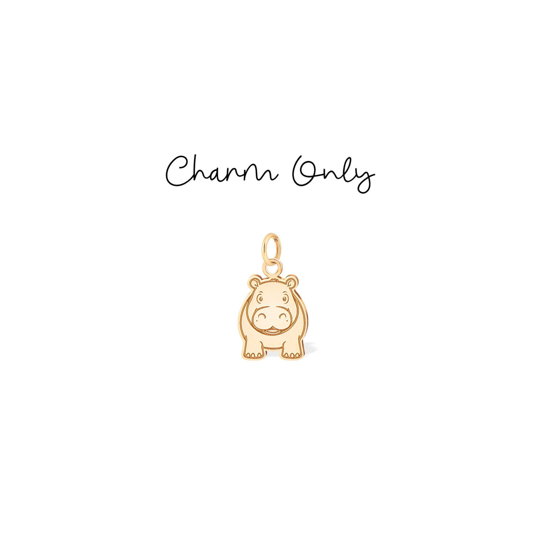 Cute Hippopotamus Charm