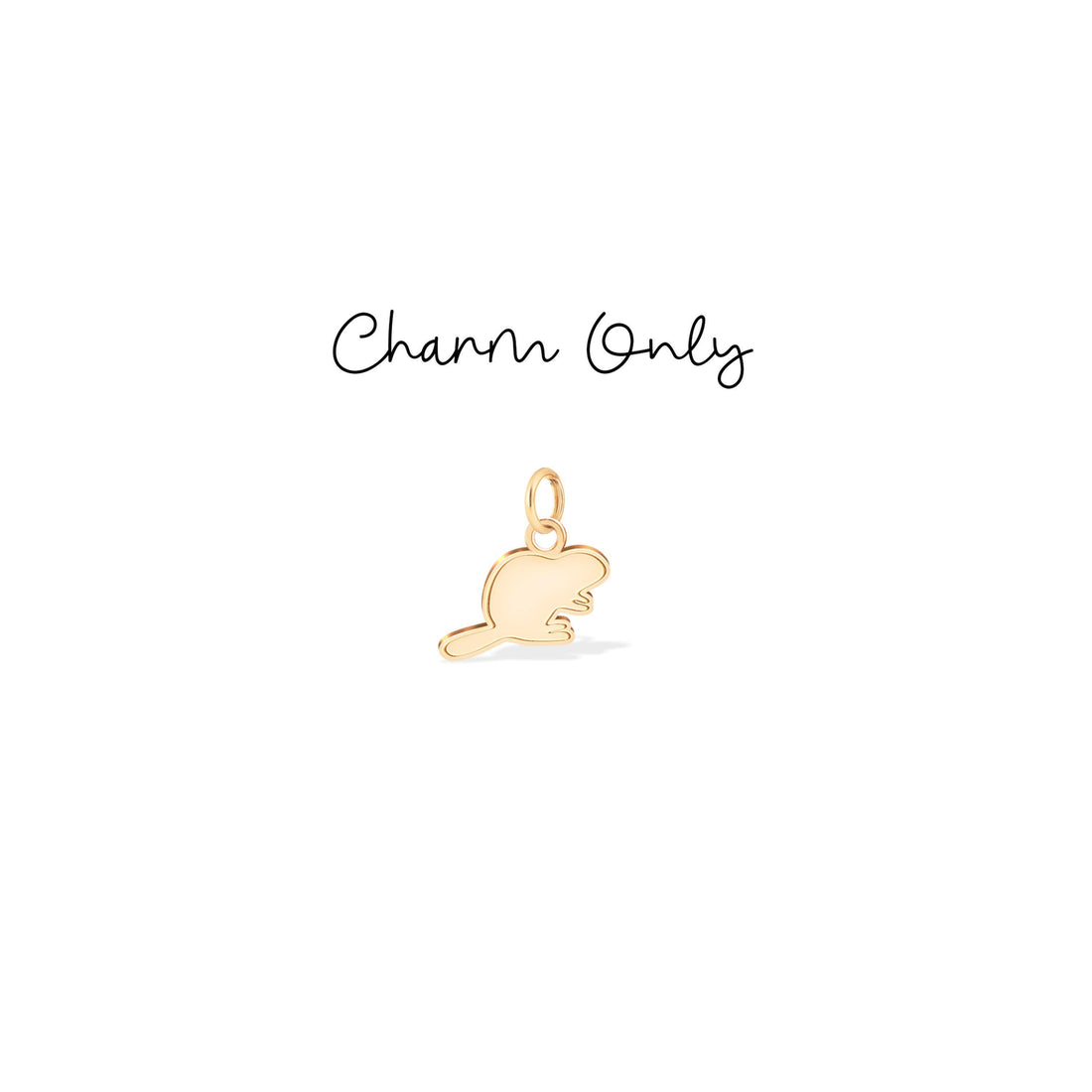 Beaver Charm