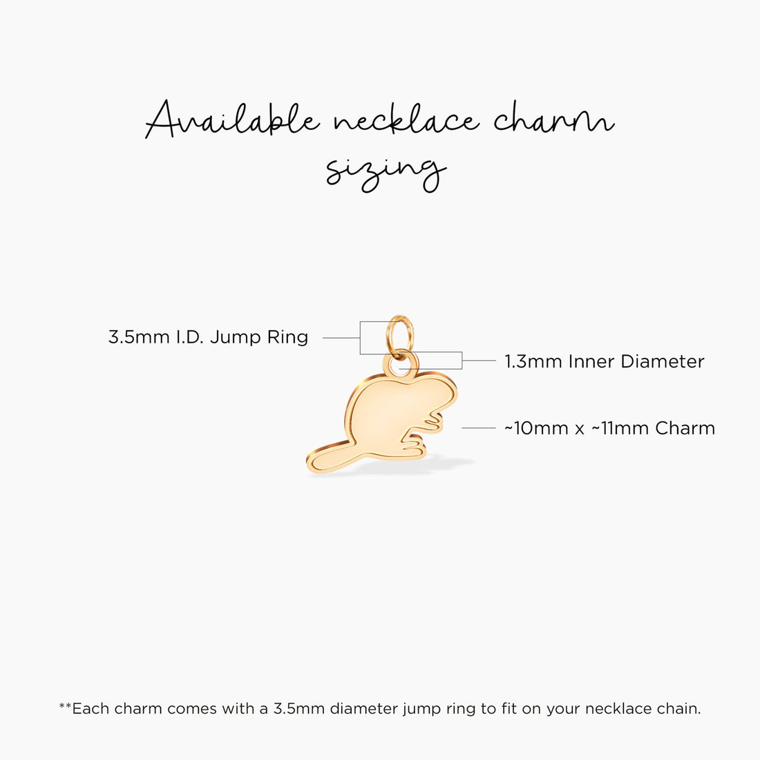 Beaver Charm