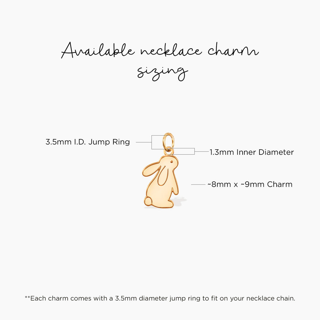 Rabbit Charm