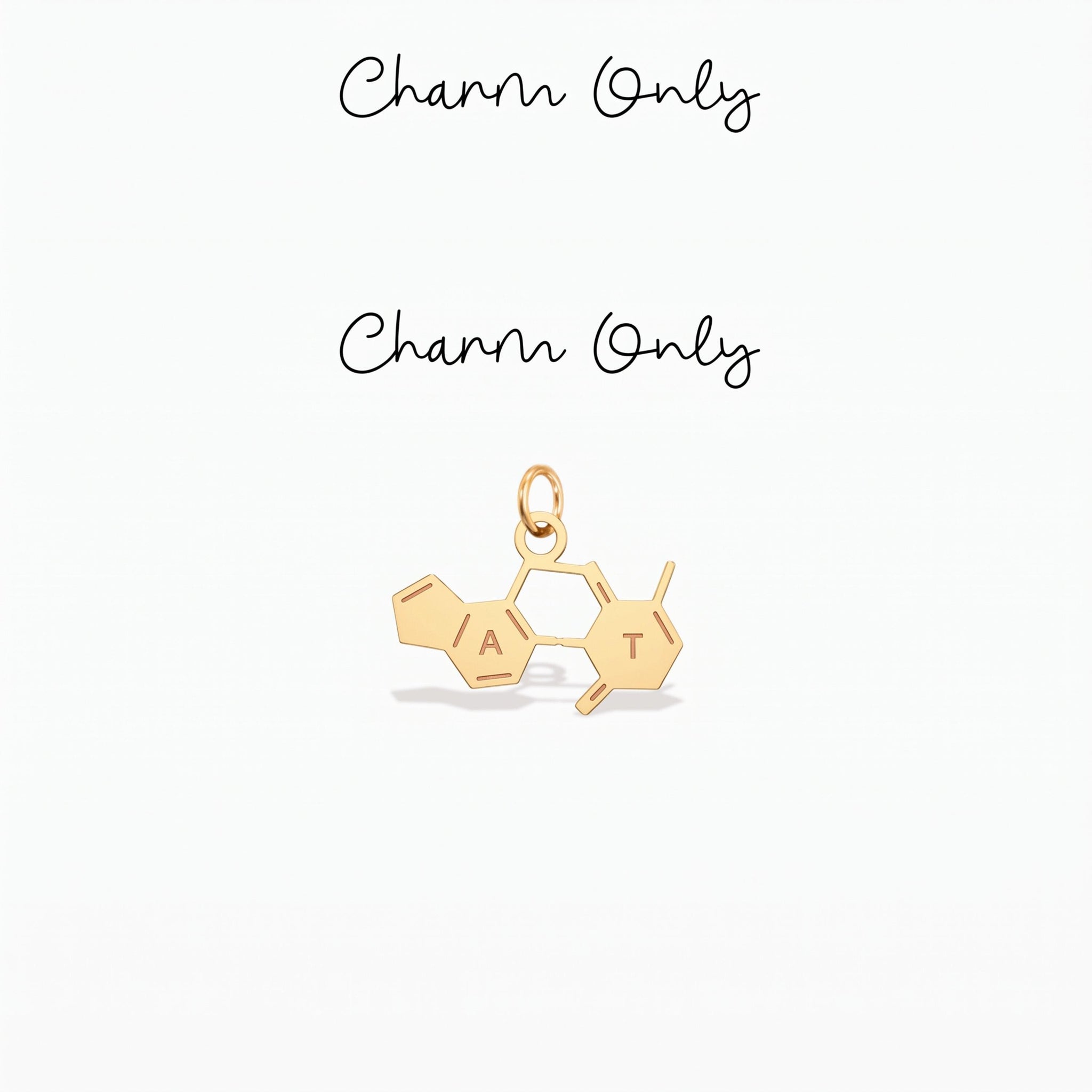 DNA Base Pair Charm