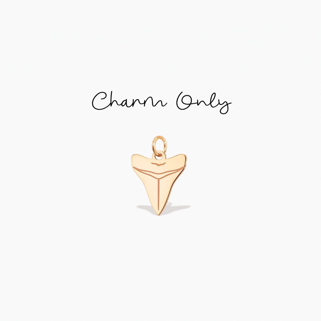 Shark Tooth Necklace Charm