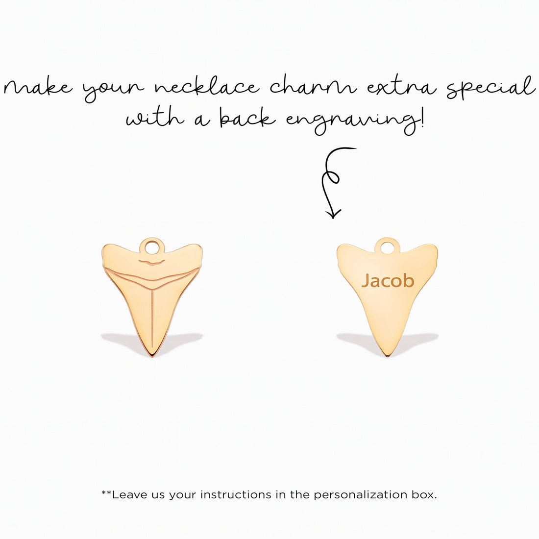 Shark Tooth Necklace Charm