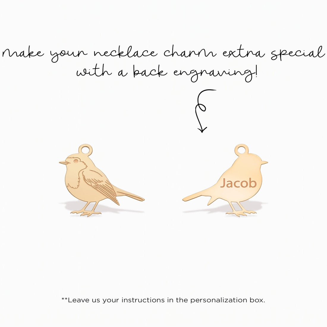 Robin Bird Necklace Charm