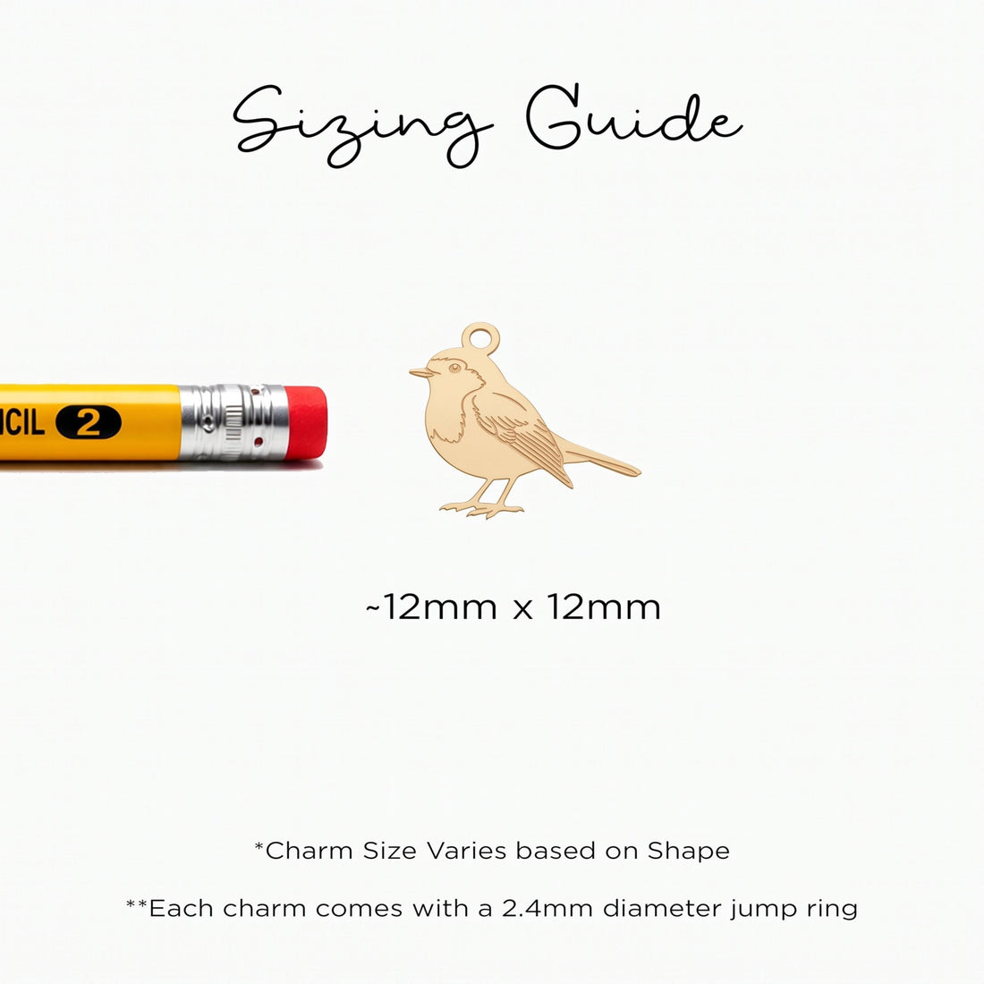 Robin Bird Necklace Charm