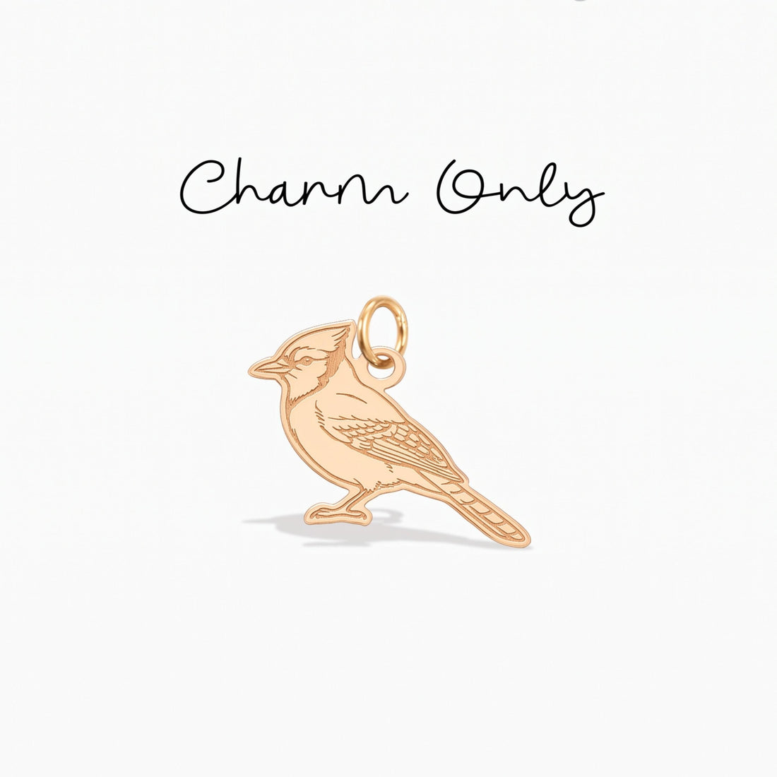 Blue Jay Necklace Charm