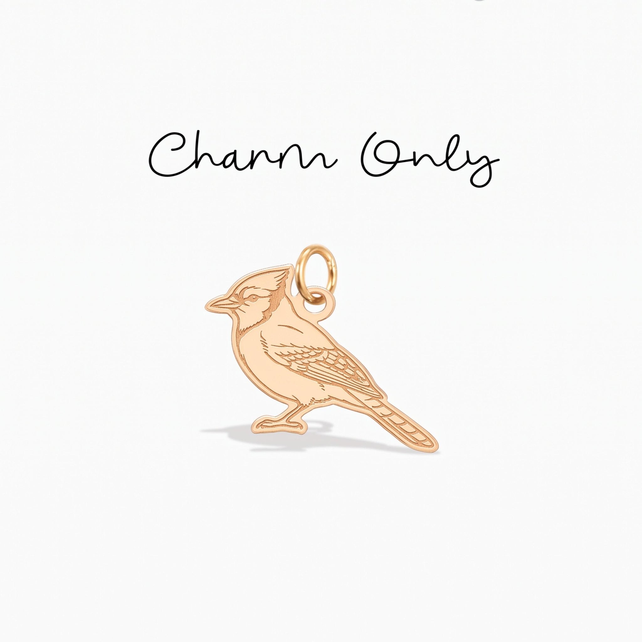 Blue Jay Necklace Charm