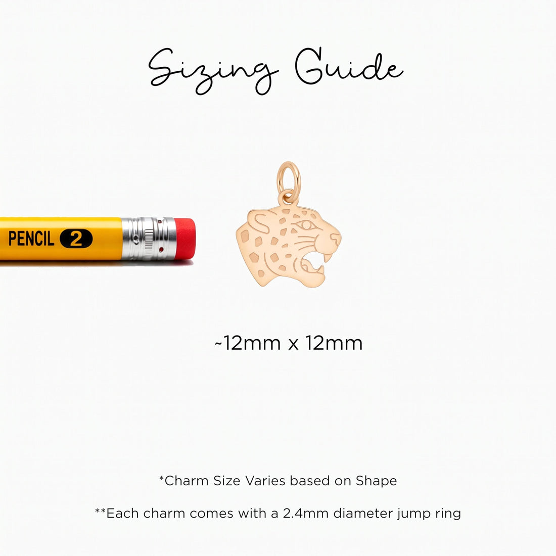 Leopard Head Necklace Charm