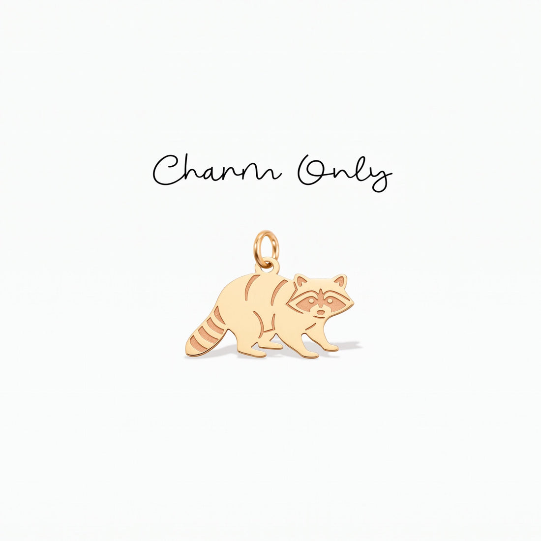 Masked Raccoon Necklace Charm