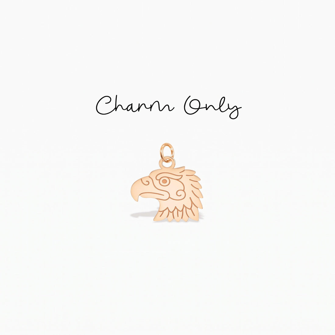 Eagle Head Necklace Charm