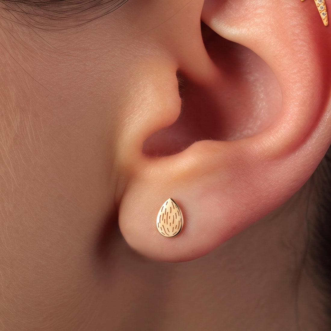 Almond Seed Stud Earrings