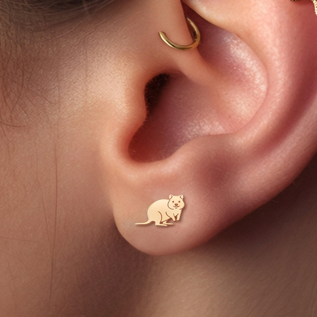 Sitting Kangaroo Stud Earrings