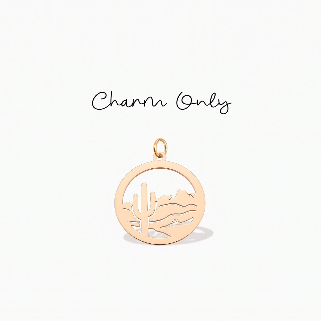 Desert Cactus Scene Charm