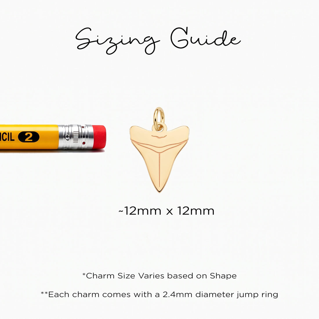 Shark Tooth Necklace Charm
