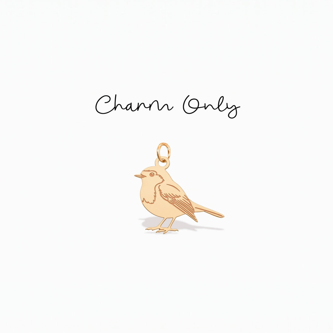 Robin Bird Necklace Charm
