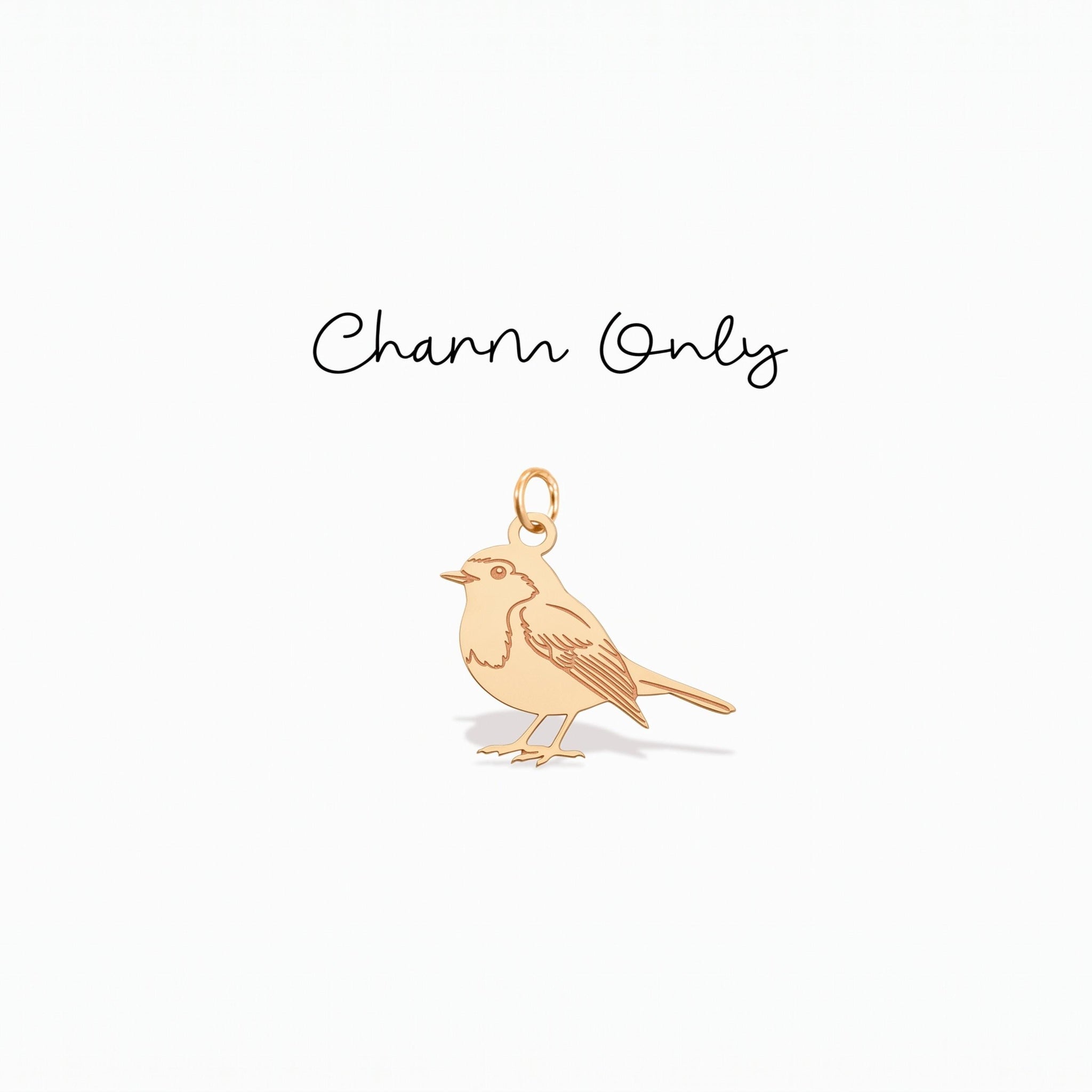 Robin Bird Necklace Charm