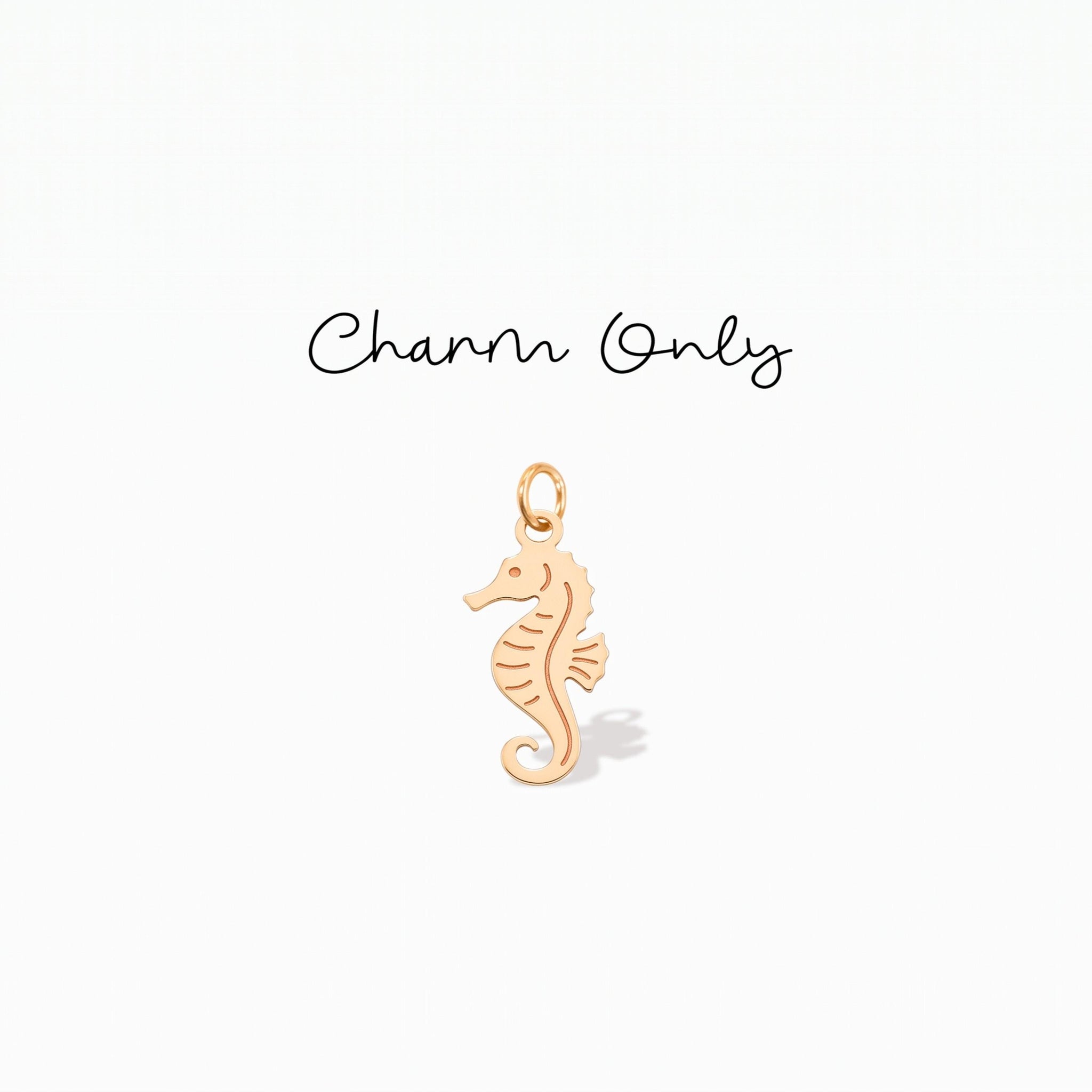 Dainty Seahorse Necklace Charm