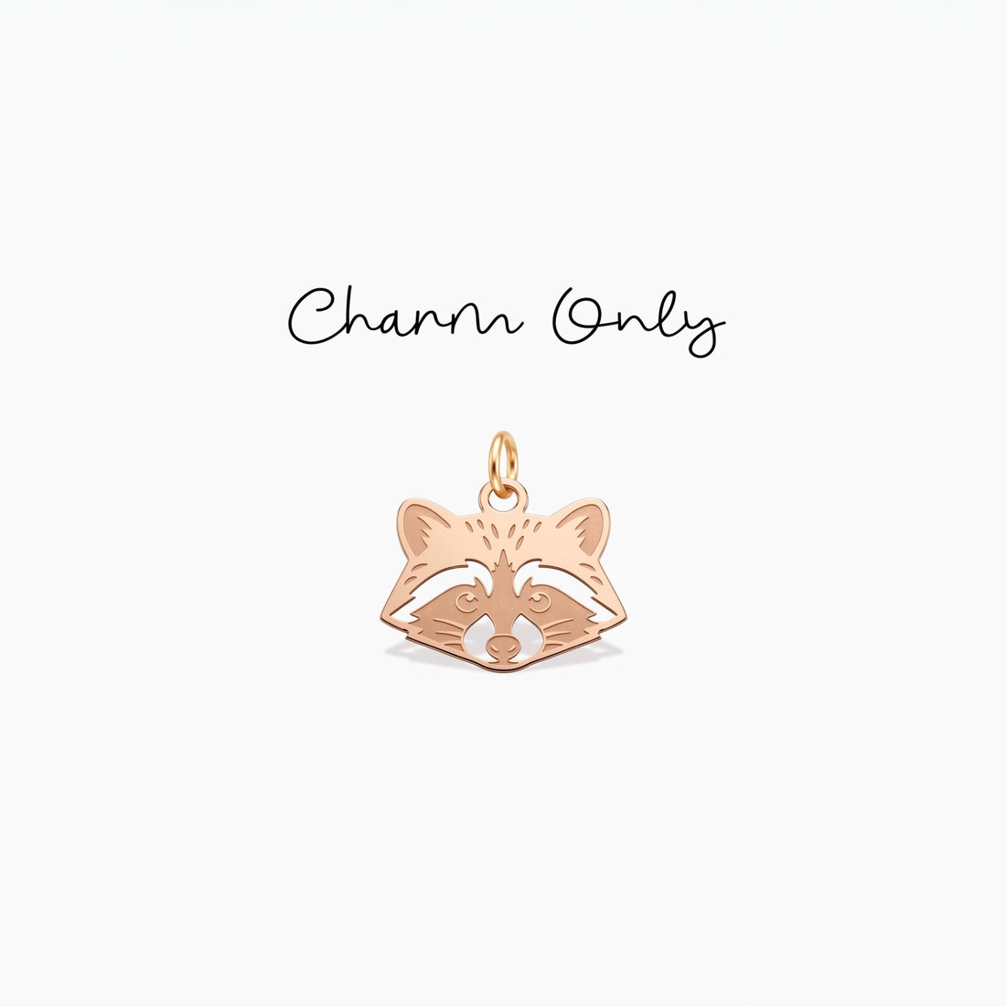 Raccoon Face Necklace Charm