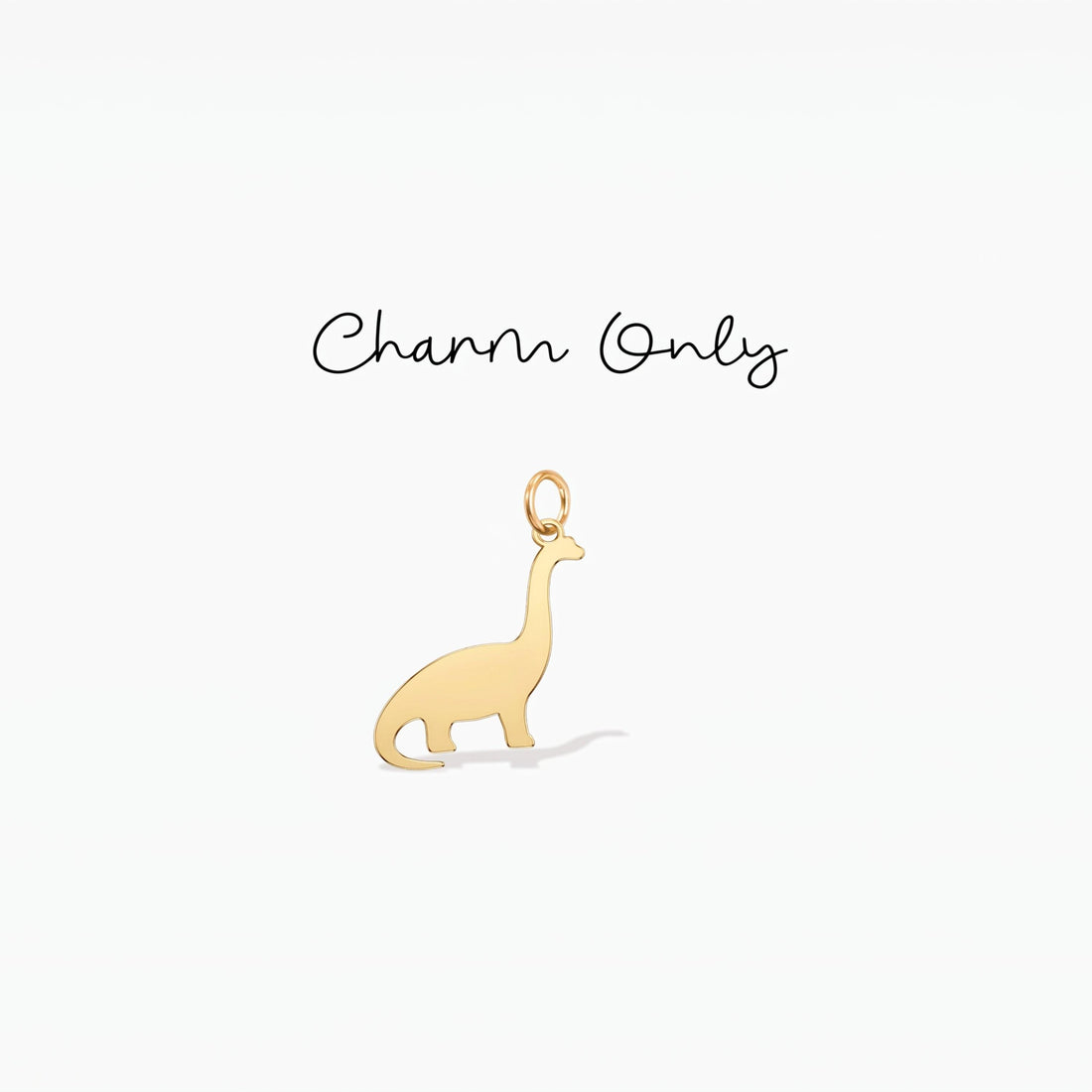 Tiny Dinosaur Necklace Charm