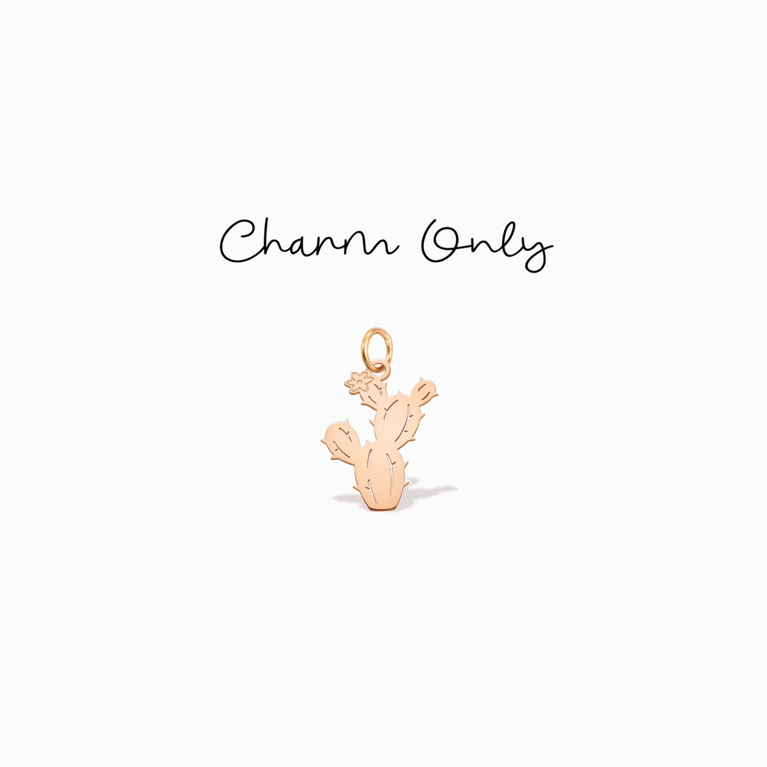 Cactus Desert Plant Charm