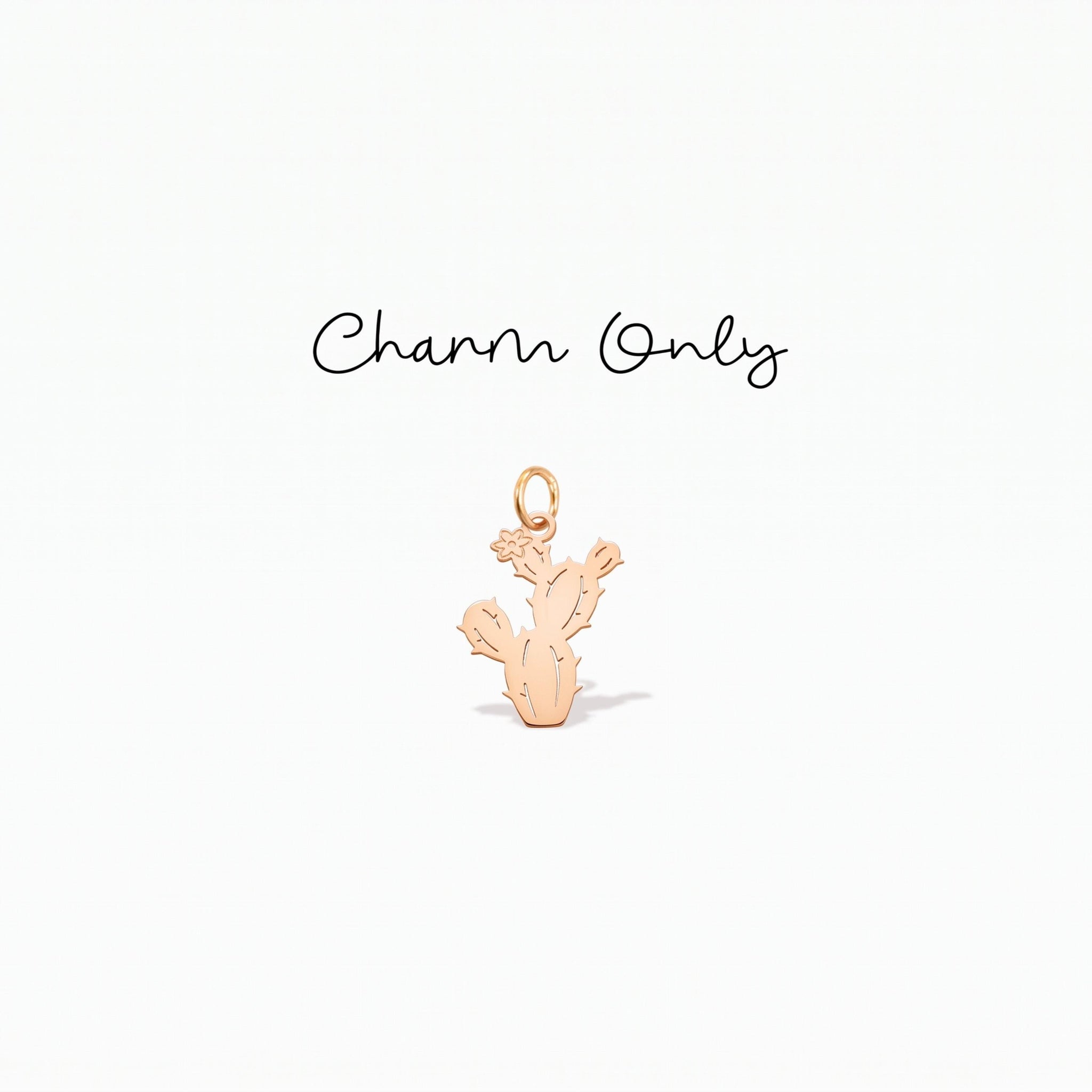 Cactus Desert Plant Charm