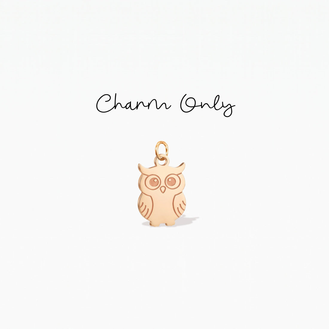 Hunting Owl Necklace Charm