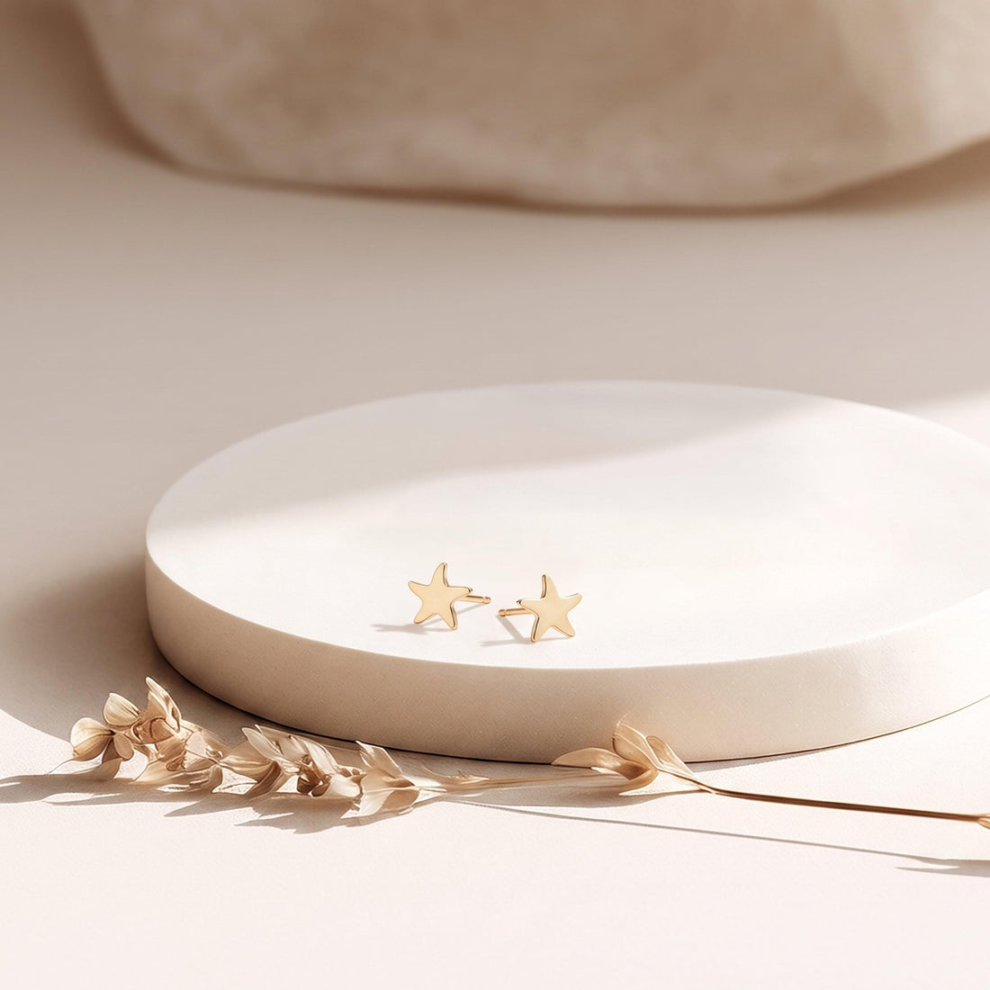 Star Charm Stud Earrings