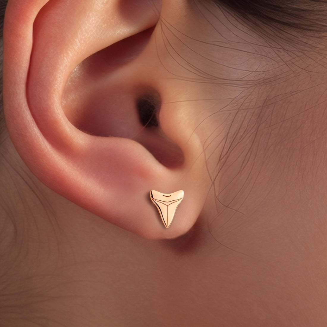 Shark Tooth Stud Earrings