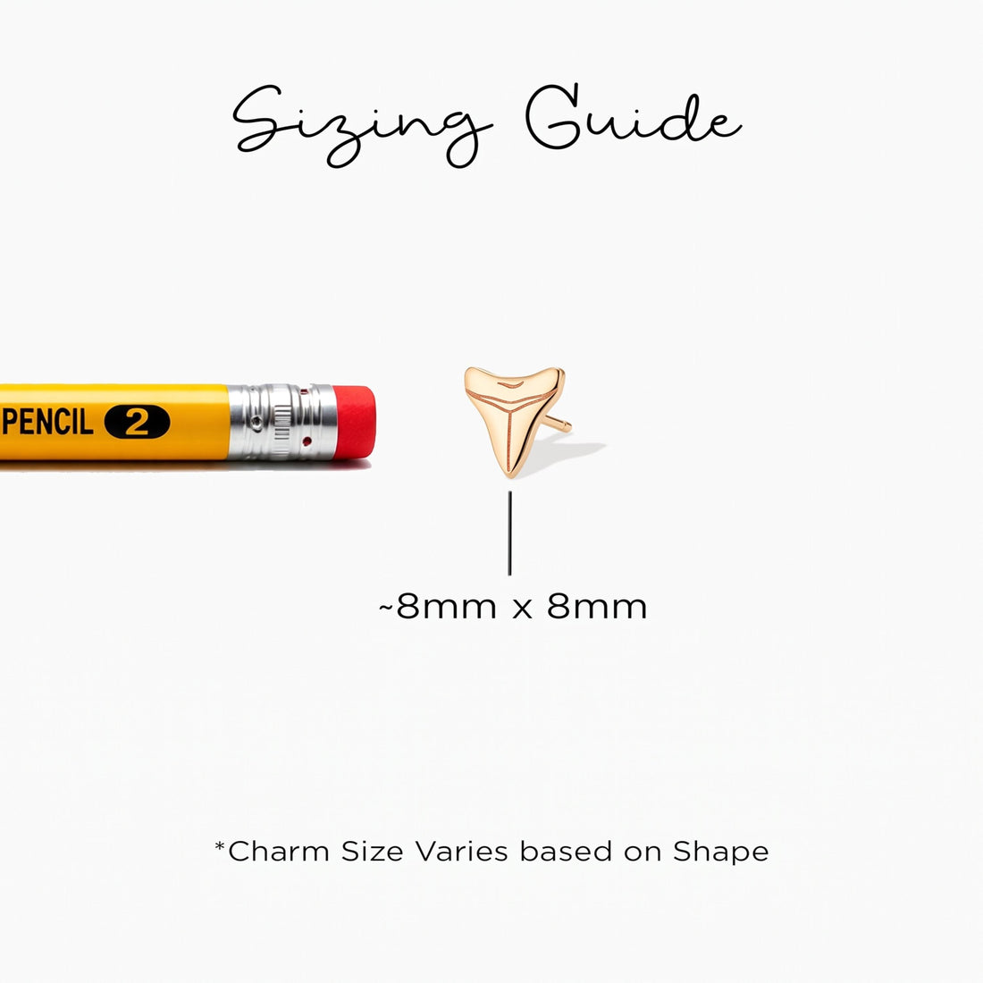 Shark Tooth Stud Earrings