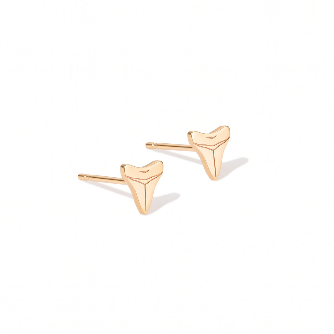 Shark Tooth Stud Earrings